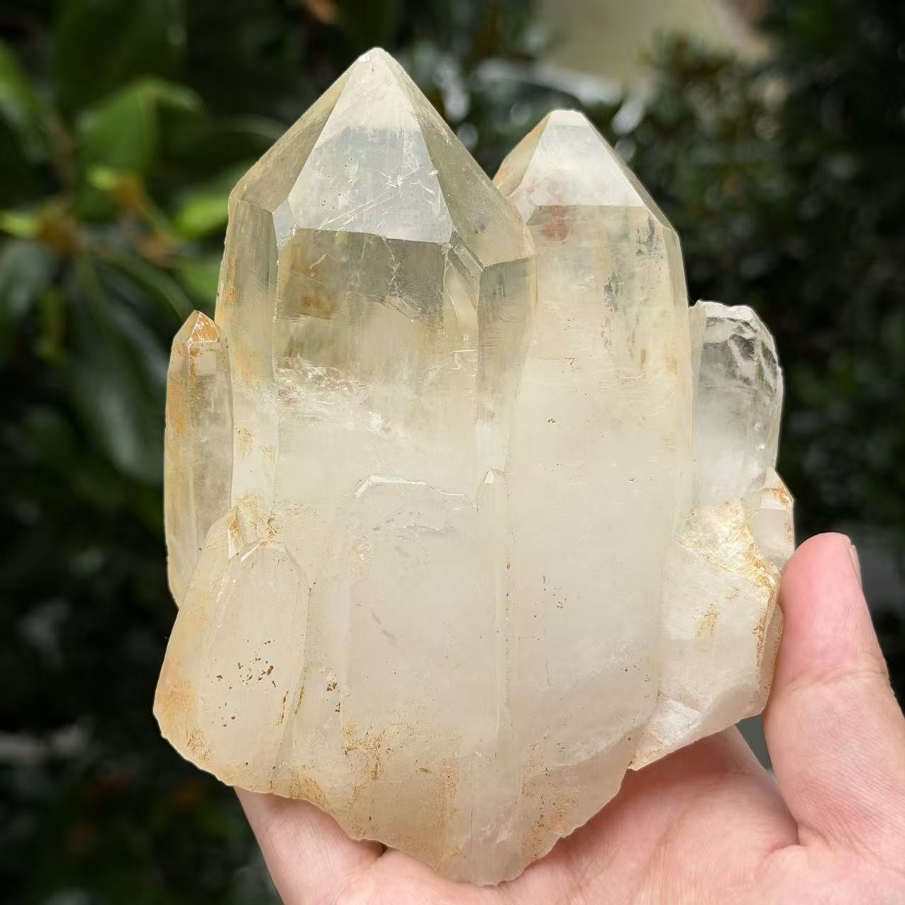 2LB Natural Clear Quartz Cluster Crystal Mineral Specimen Healing Stone Decor