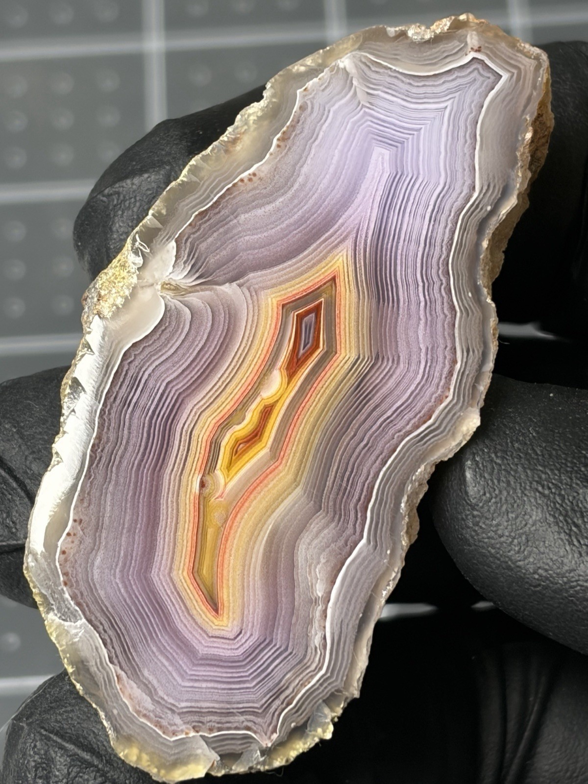 Stunning Laguna Agate Polished High Quality Specimen Parallax Banding Colorful
