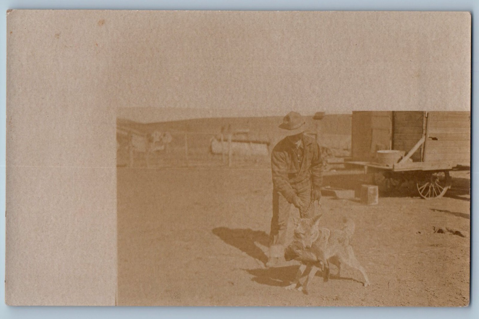 RPPC Photo Postcard Pet Wolf Coyote Hunting c1910\'s Unposted Antique