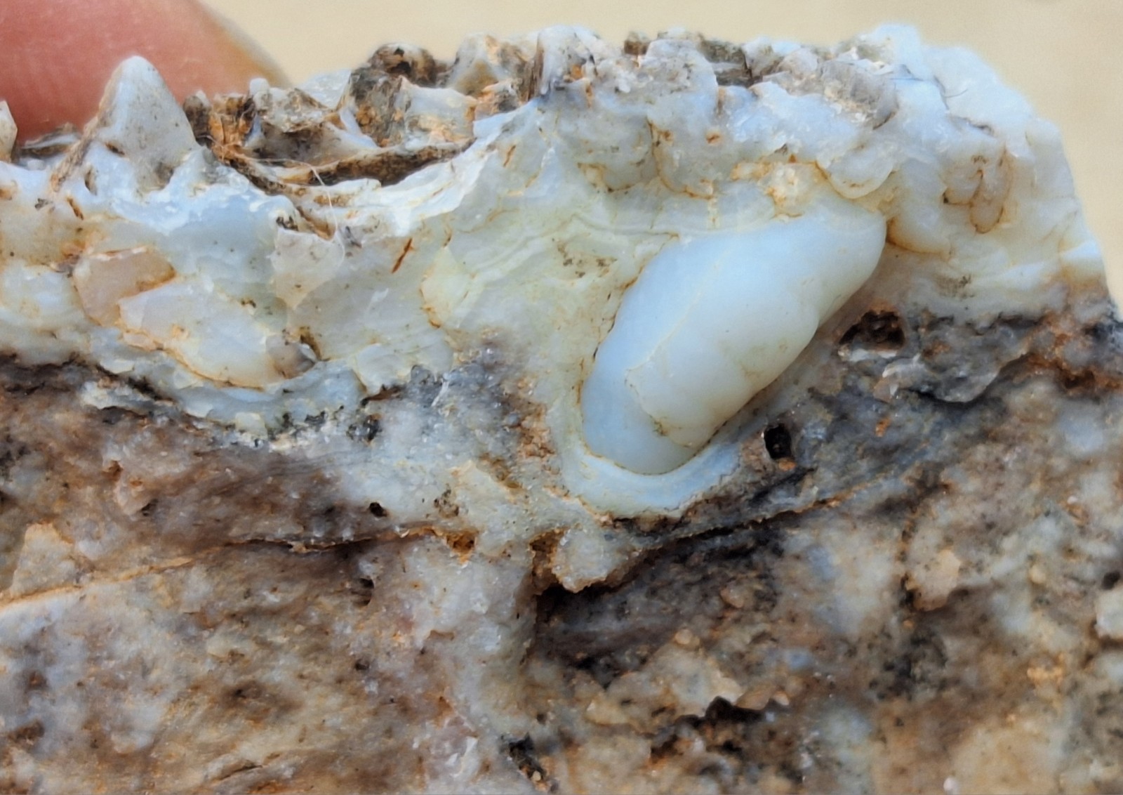 Arizona Banded Onyx With Fine Banding -Lattice Patterns -Botryoidal Crystals