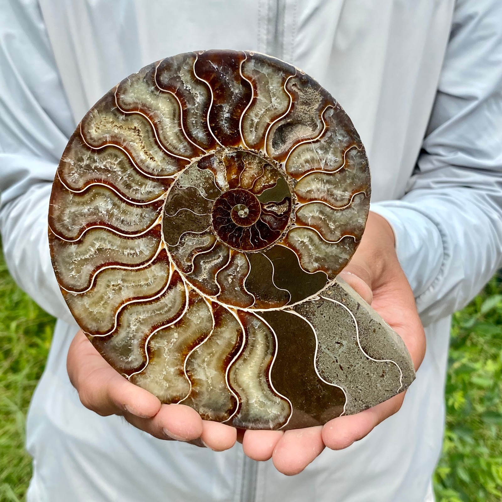 440G Rare Natural Tentacle Ammonite FossilSpecimen Shell Healing Madagascar