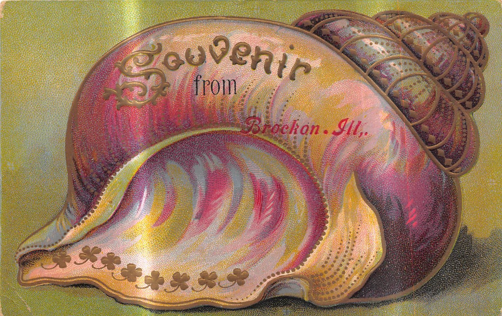 BROCKTON Illinois postcard Sea shell