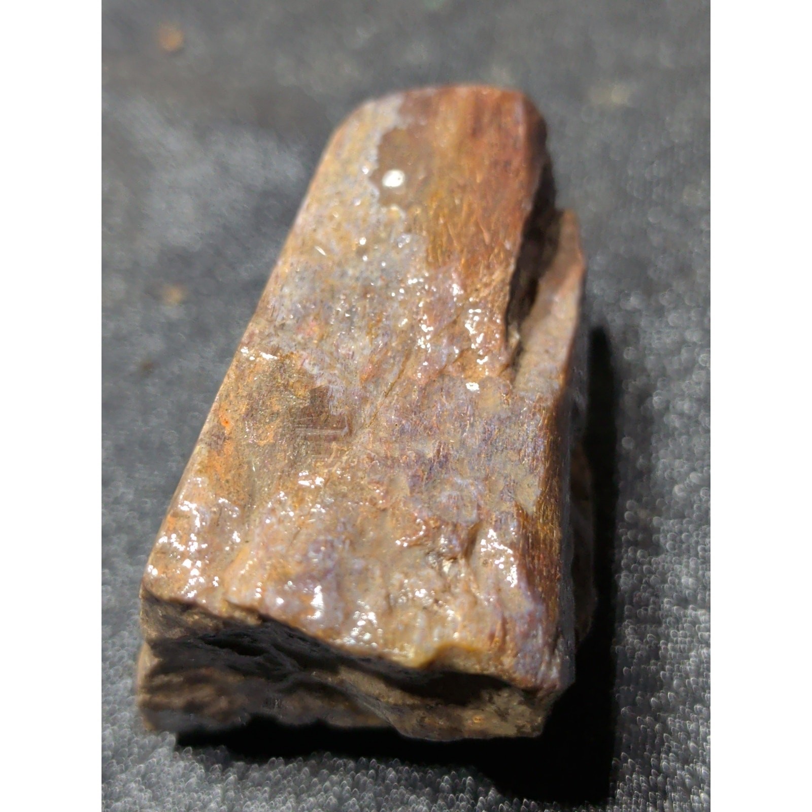 Gem Bone Polished Specimen (62 Grams)