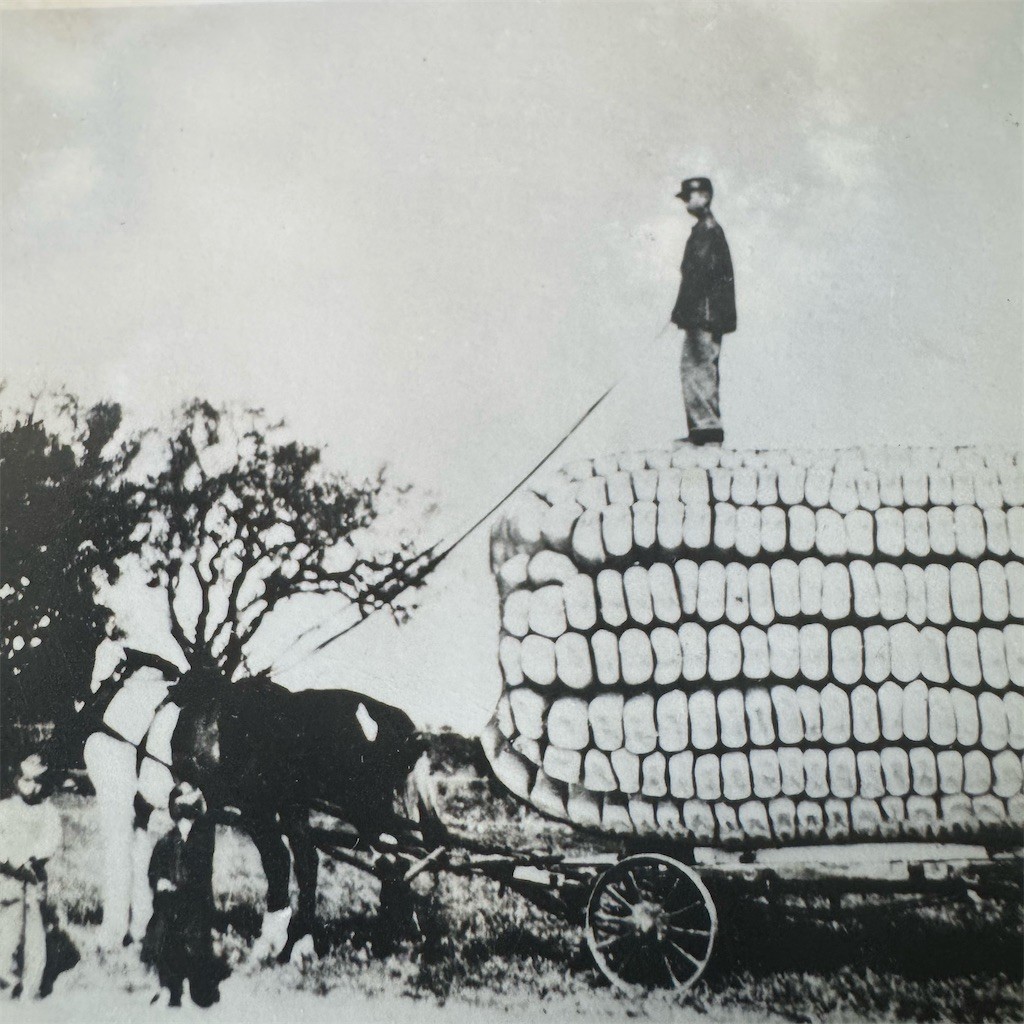 Vintage Texas RPPC Postcard Exaggerated Horse-Drawn Corn Wagon Farm