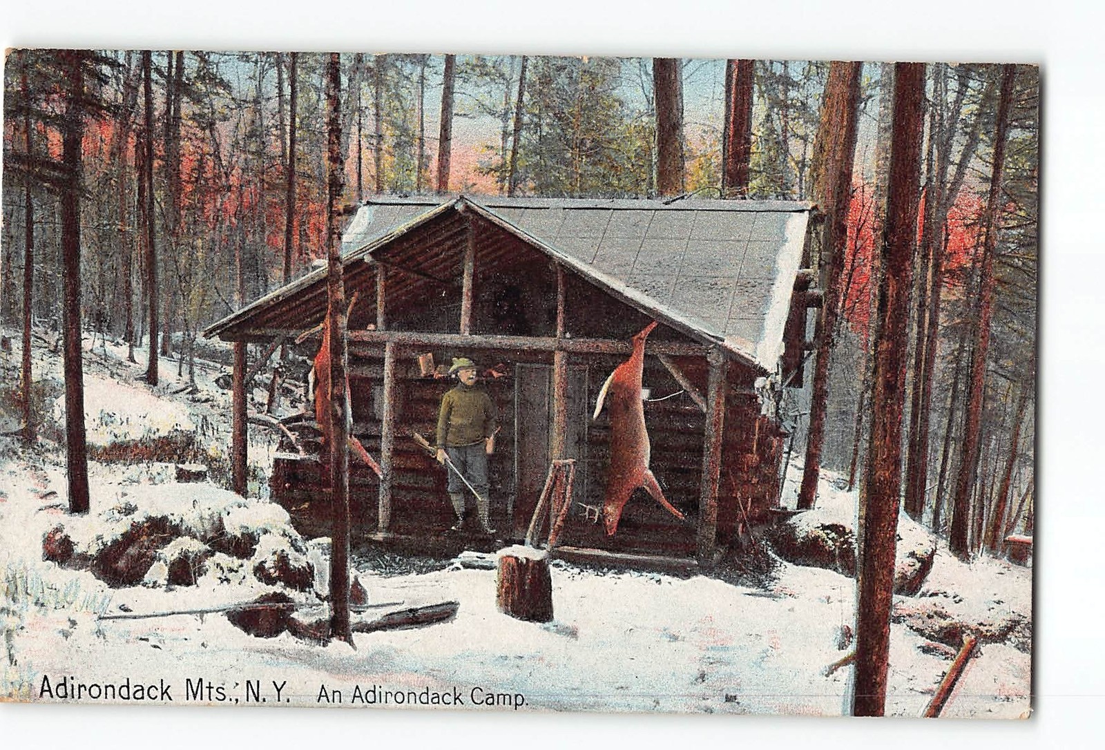 Adirondack Mts. New York NY Postcard 1911 An Adirondack Camp Hunting Deer
