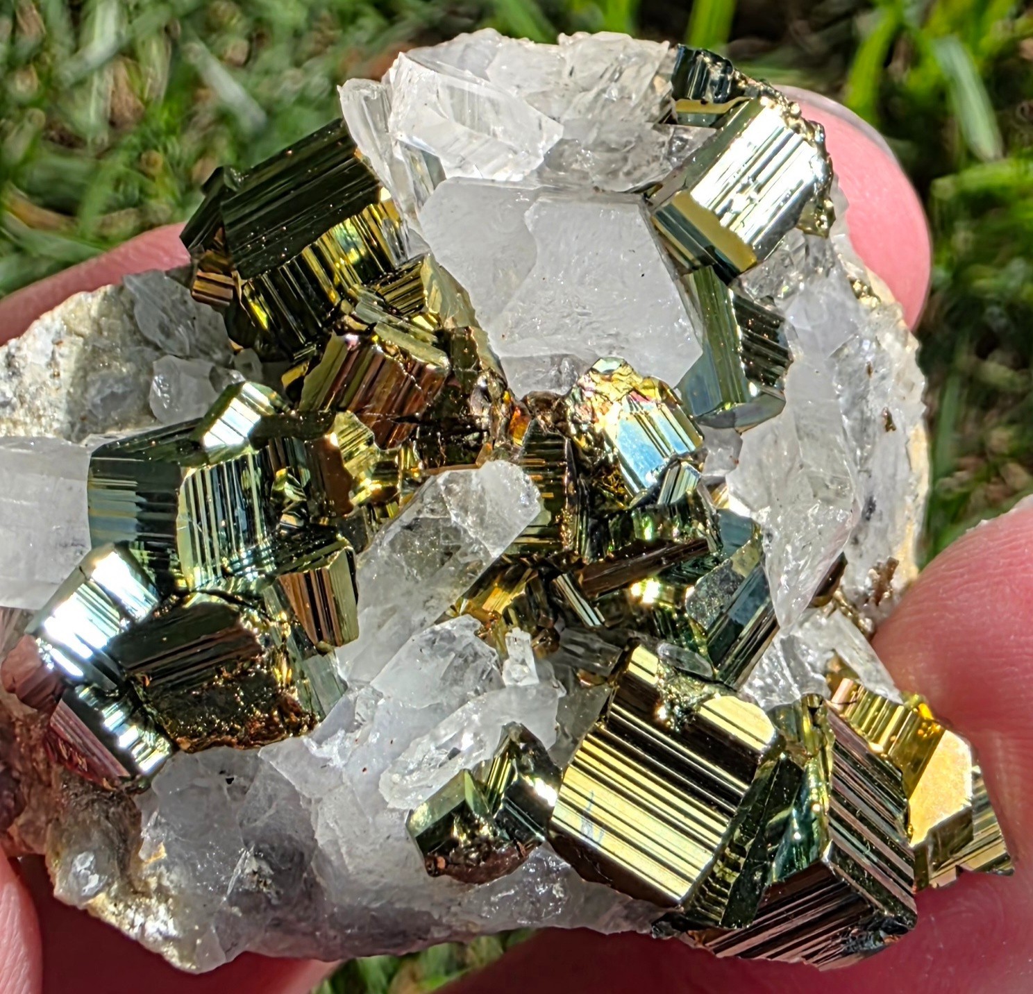 Highly Iridescent Pyrite with Quartz — Indonesia