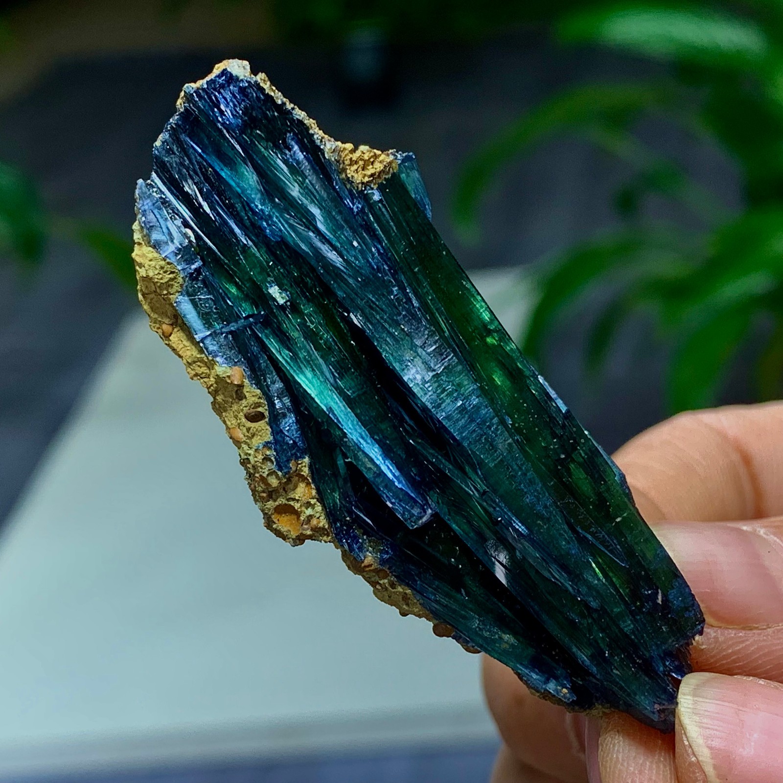 25G Natural Vivianite ludlamite Quartz Crystal Mineral Samples /Brazil