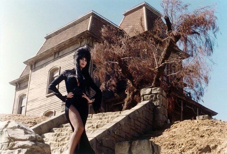 ELVIRA, MISTRESS OF THE DARK - 8X10 PUBLICITY PHOTO