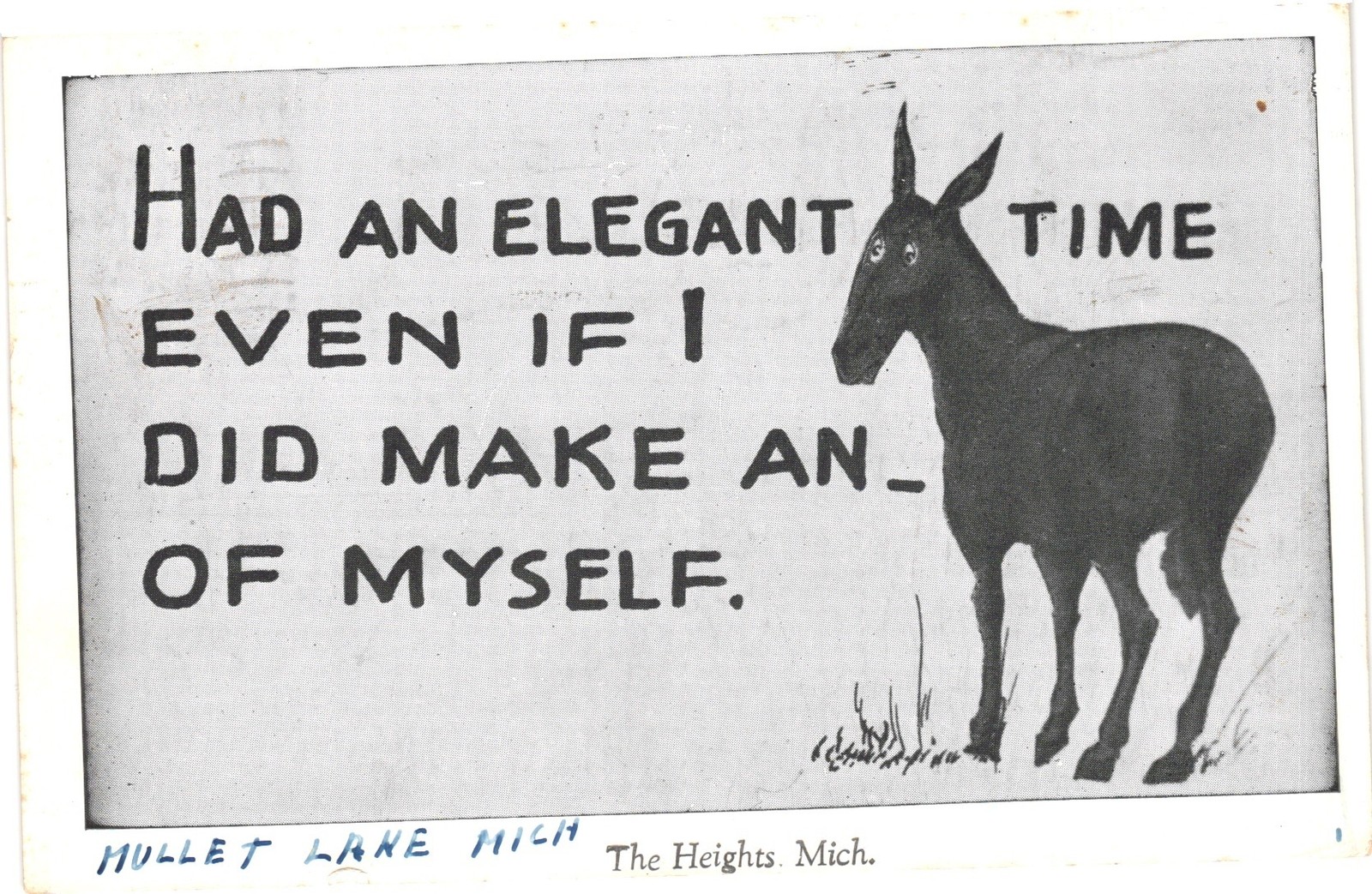 Donkey Mule Humor Postcard Mullet Lake The Heights Indian River Michigan 1950