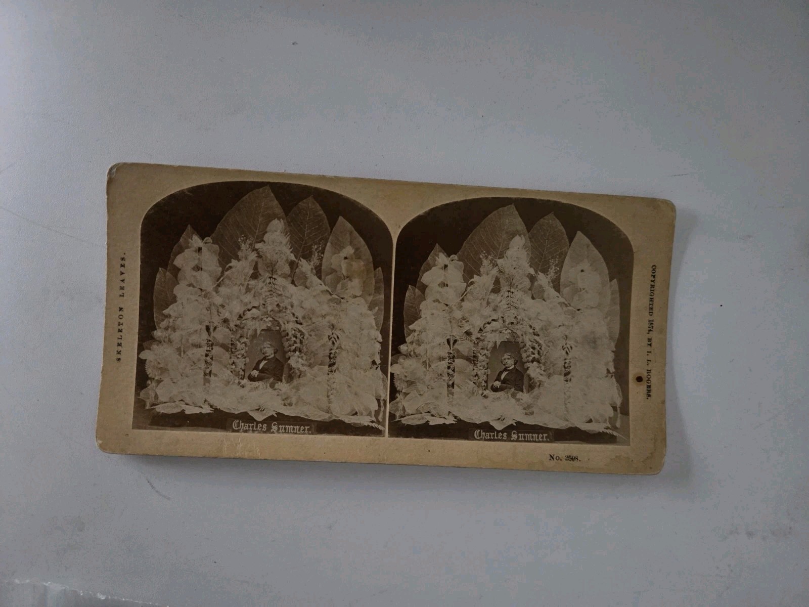 Skeleton Leaves Charles Sumner John Soule Stereoview