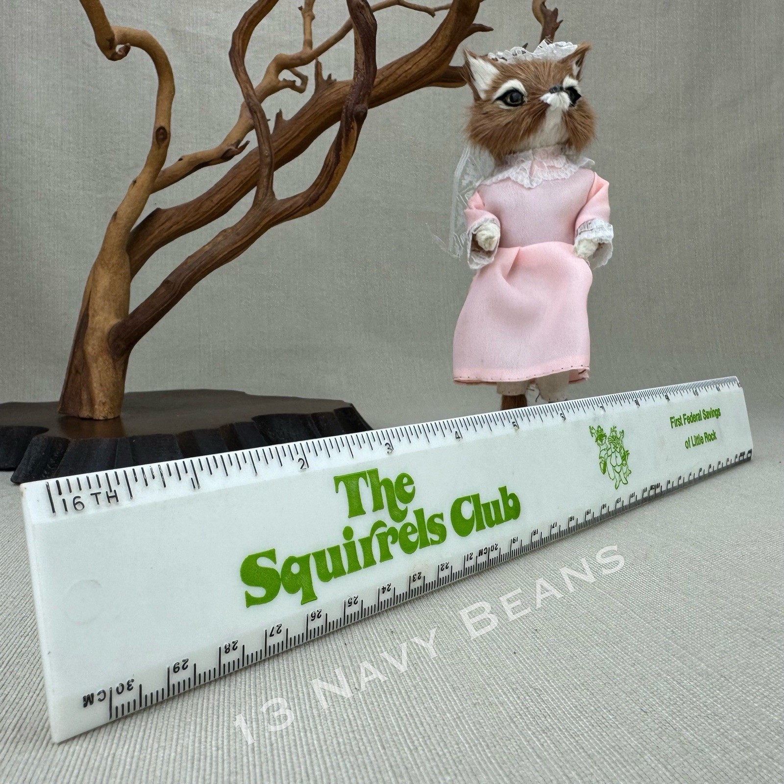The Squirrels Club Vintage White Plastic Ruler Little Rock Federal Savings Bank