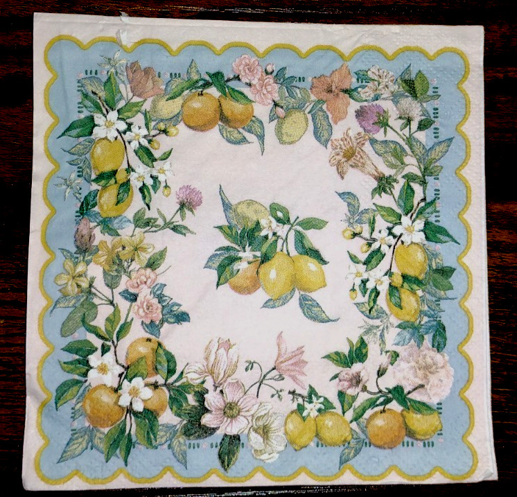 LEMON ORANGE FLORAL SCENE ~ 2 Individual Paper BEVERAGE Napkins Decoupage