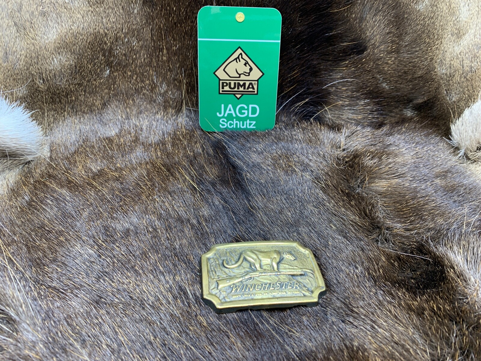 PUMA Cat With Winchester Rifle Brass Belt Buckle - Mint