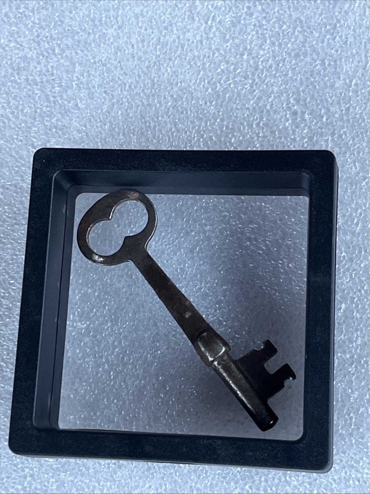 Vintage Antique Metal Skeleton Key In Dust Proof Case