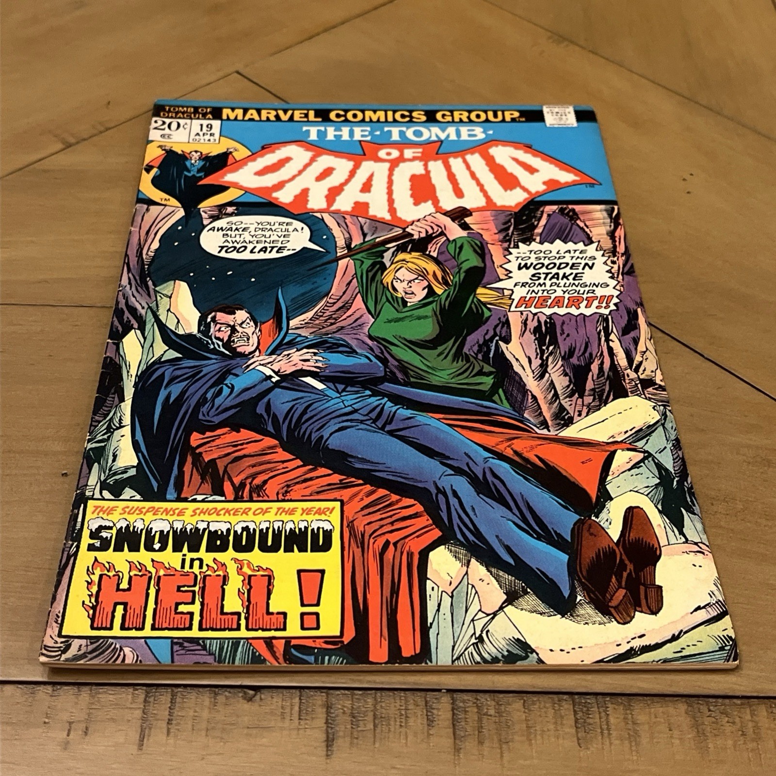 Tomb of Dracula #19 (Marvel Comics April 1974) Bronze Horror Snowbound FN-