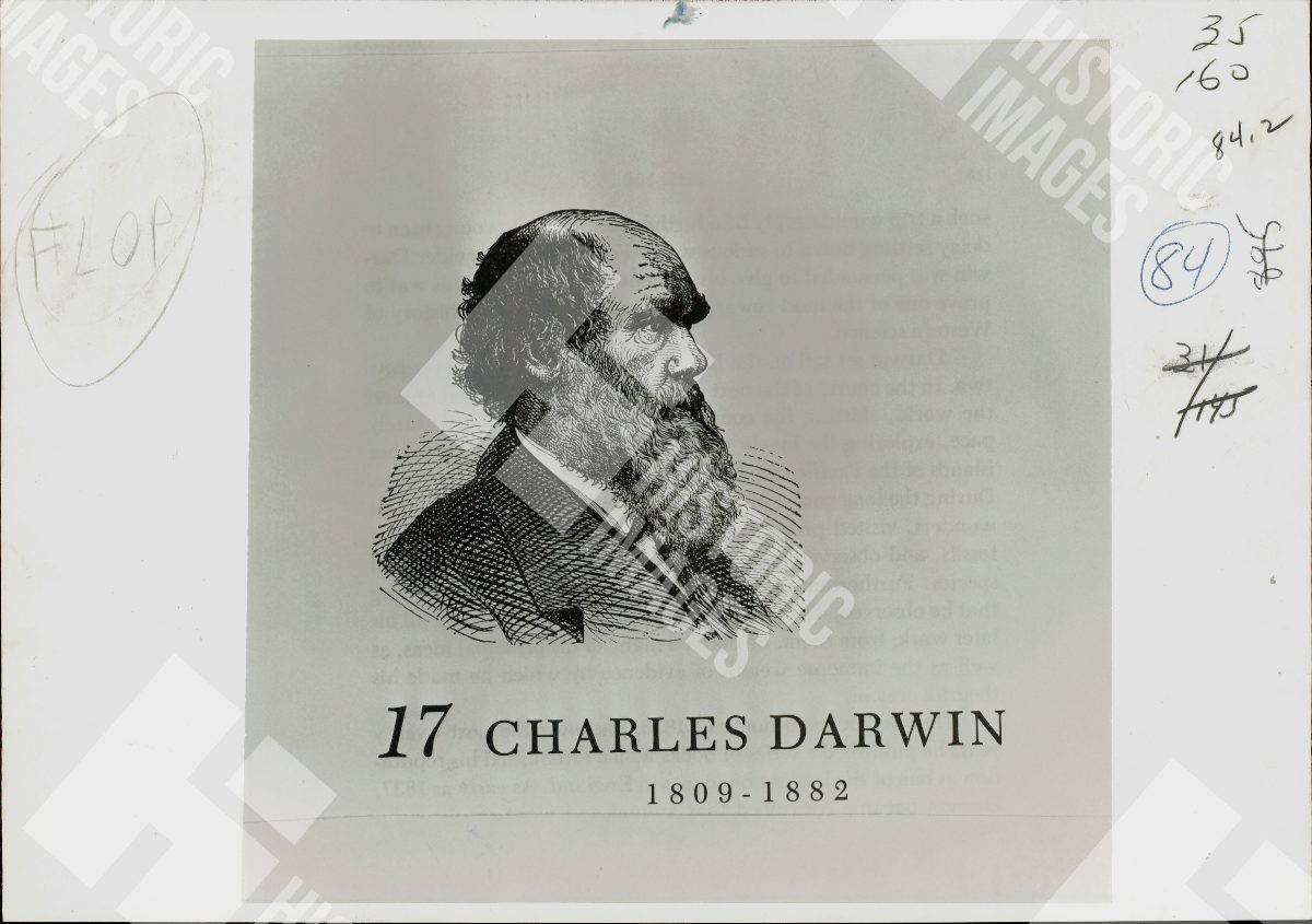 1882 Portrait of Charles Darwin with identification number and lifespan