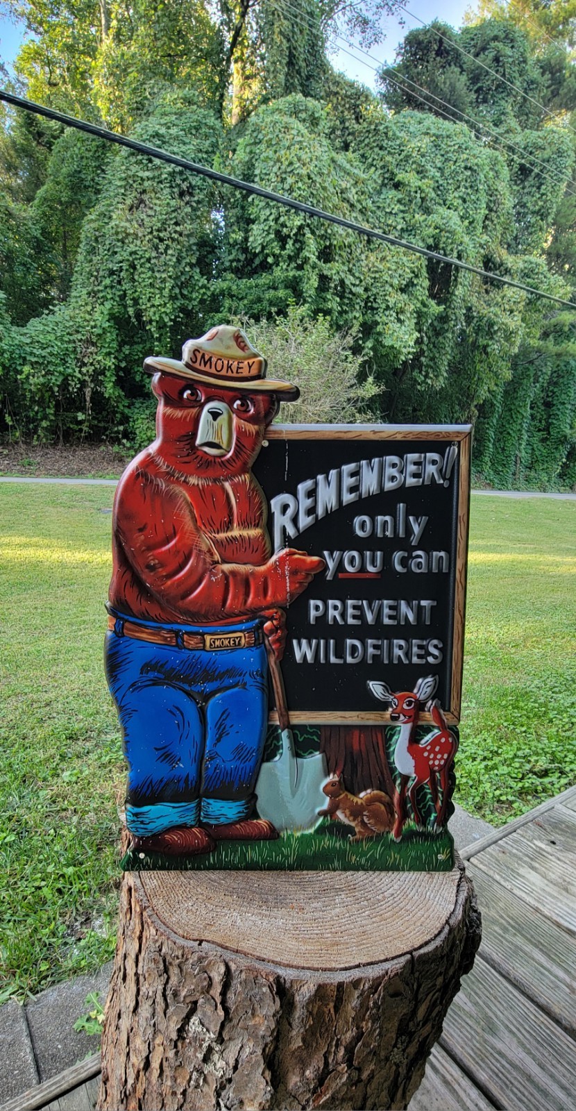 Smokey Bear 'Remeber Only You Can Prevent Wildfires' Embossed Metal Sign
