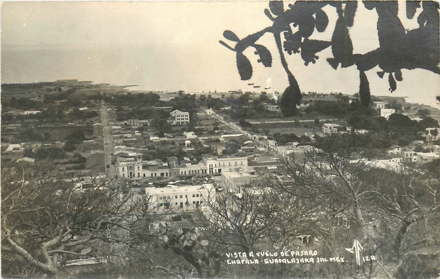 RPPC Chapala Guadalajara Jalisco Mexico Bird's Eye View Vintage Postcard 1940s