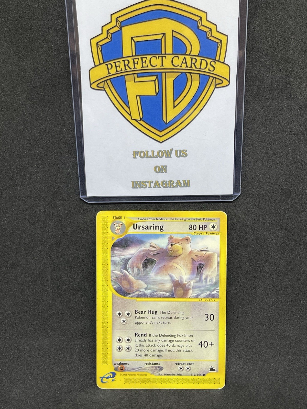 POKÉMON SKYRIDGE URSARING COMMON 110/144 PL ENG