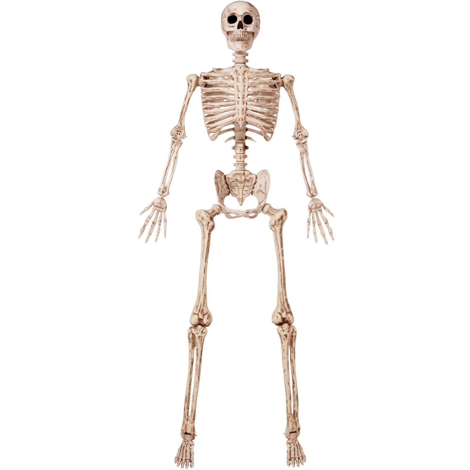 6.9 FT Life Size Posable Skeleton - Realistic Bones, Movable Joints, Halloween D