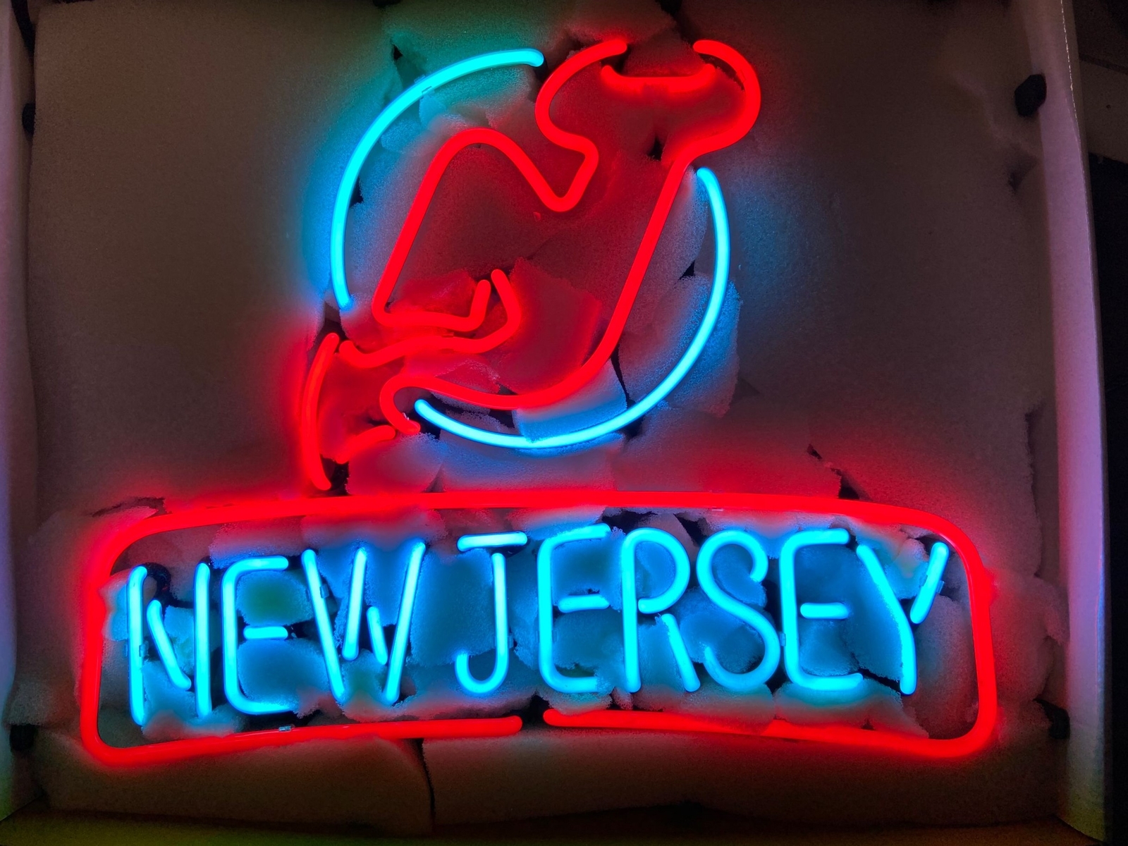 New Jersey Devils Hockey Team Logo 24\
