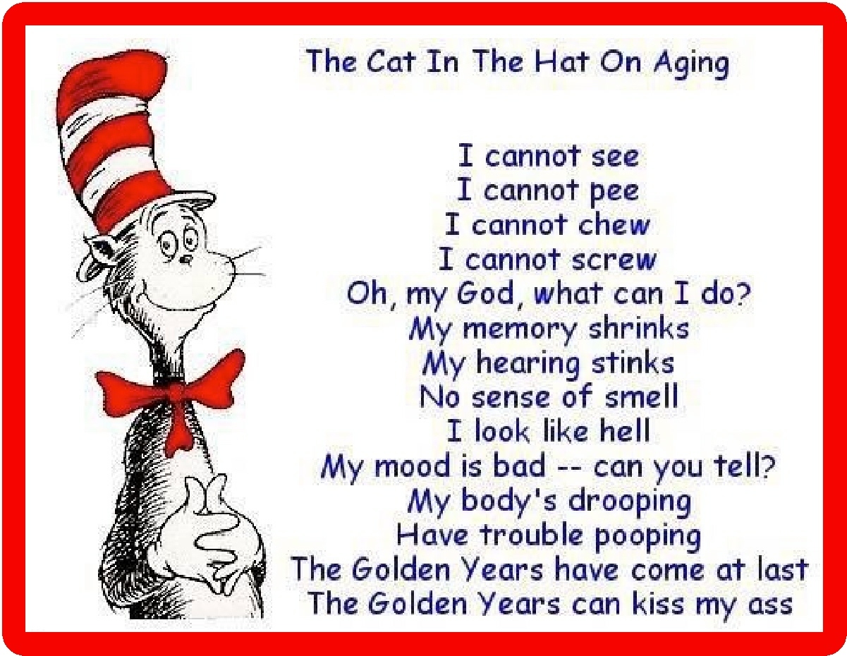 The Cat In The Hat On Aging Refrigerator Magnet  