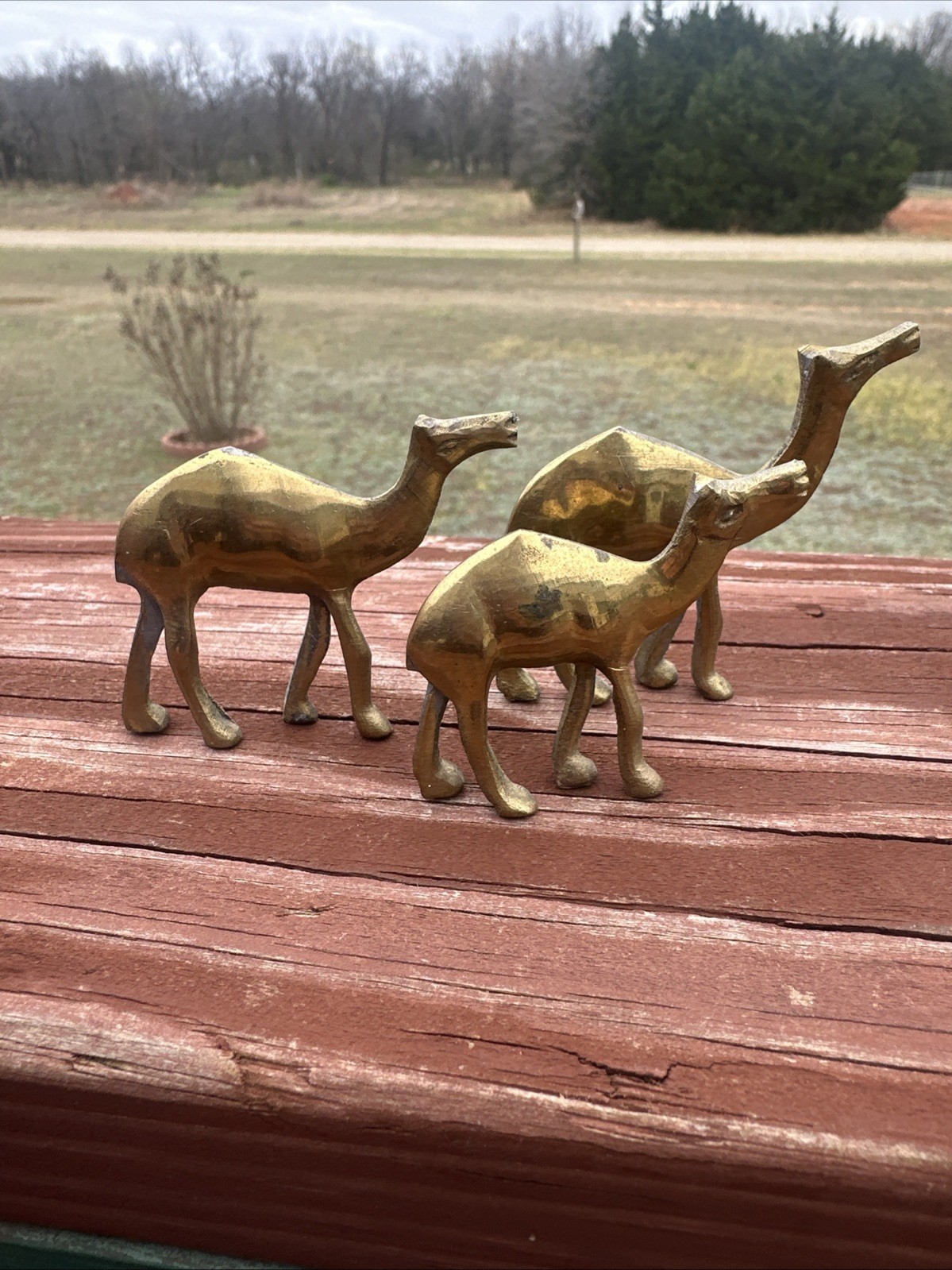 Vintage Miniature Solid Brass Camel Herd Figurines Lot of 3 Mcm 2” Mini