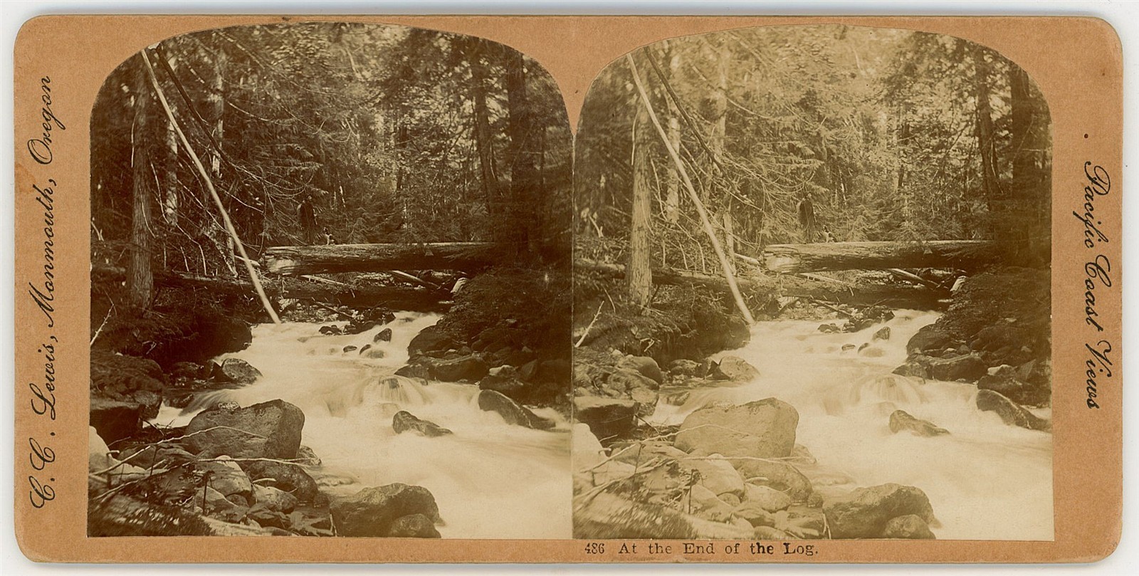 OREGON STEREOVIEW - Mount Jefferson Wilderness - Creek Scene - CC Lewis 1890s
