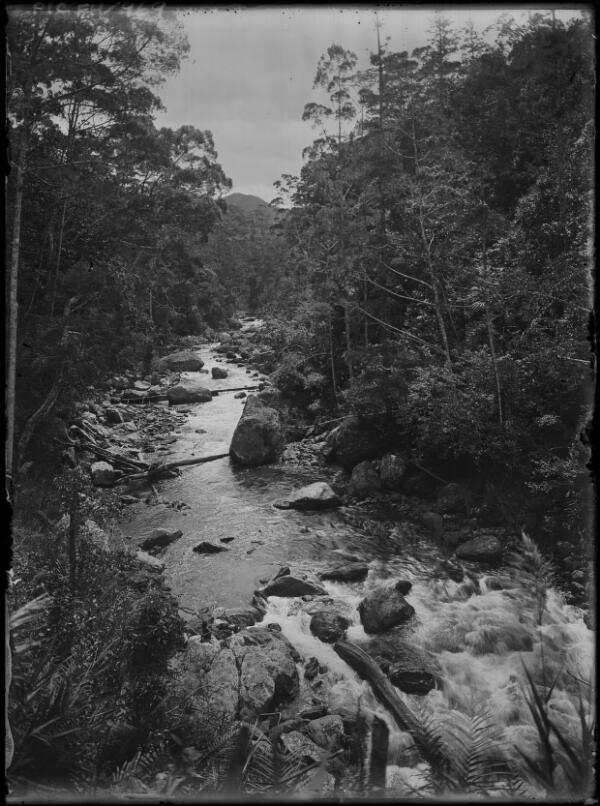 Queensland PNG Narrow rocky river Pearls and savages - Old Photo