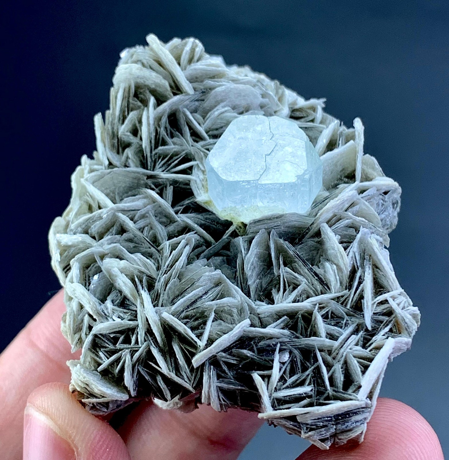363 Carat Aquamarine Crystal  from Skardu Pakistan