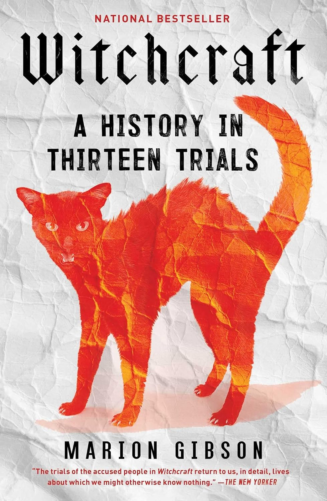 Witchcraft Book A History in Thirteen Trials Paperback 300 Pages