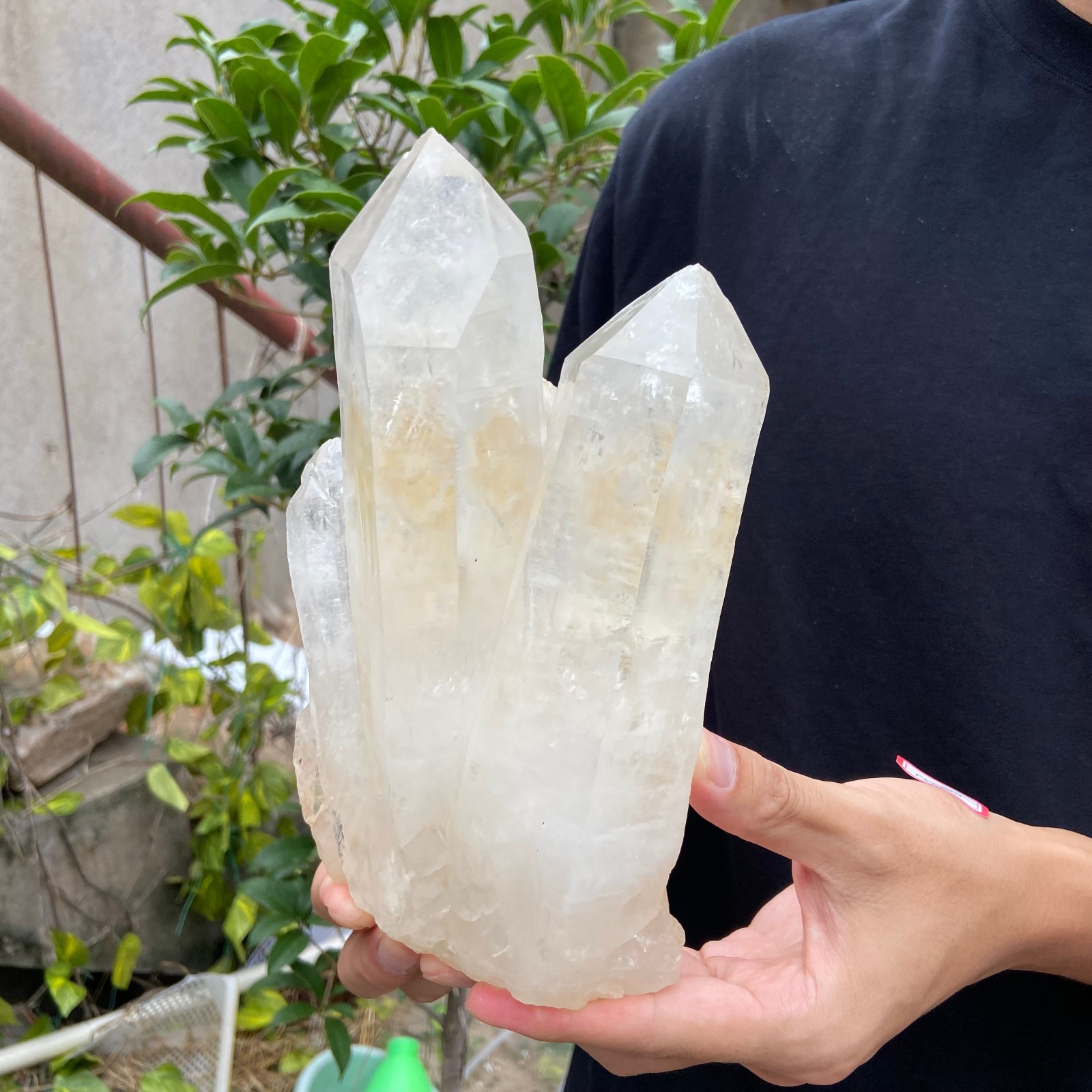 4.5LB A++Large Natural clear white Crystal Himalayan quartz cluster /mineralsls