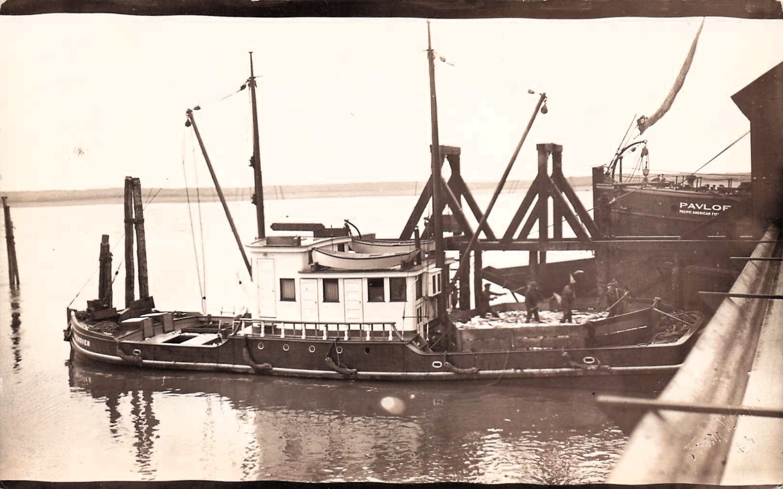 RPPC Bellingham WA Pacific American Fisheries Pavlof Harbor Photo Postcard K20