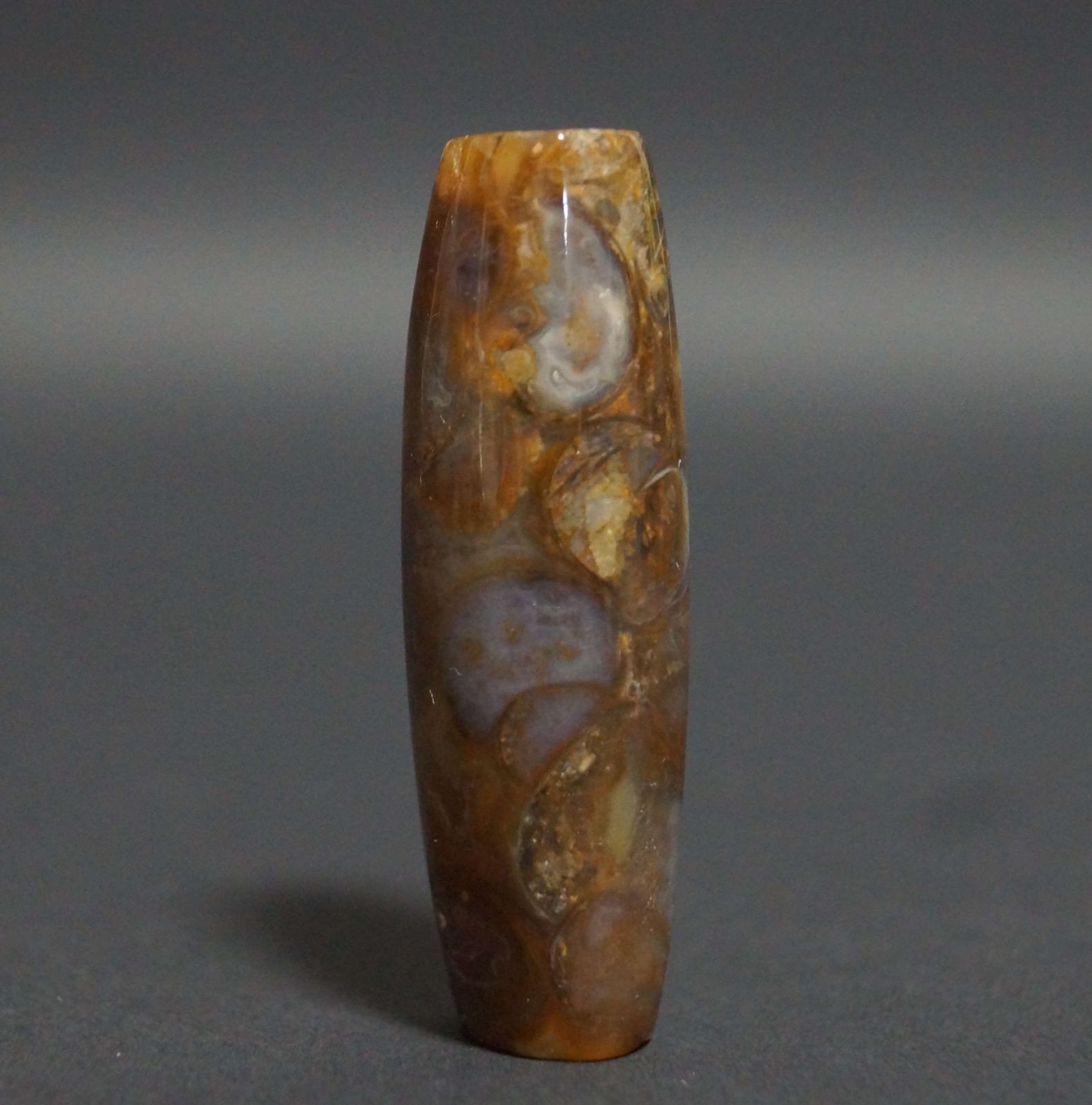 Old Tibetan Conch Dzi Bead, Fossil Dzi, Netsuke, Sacred Amulet, 4.8cm