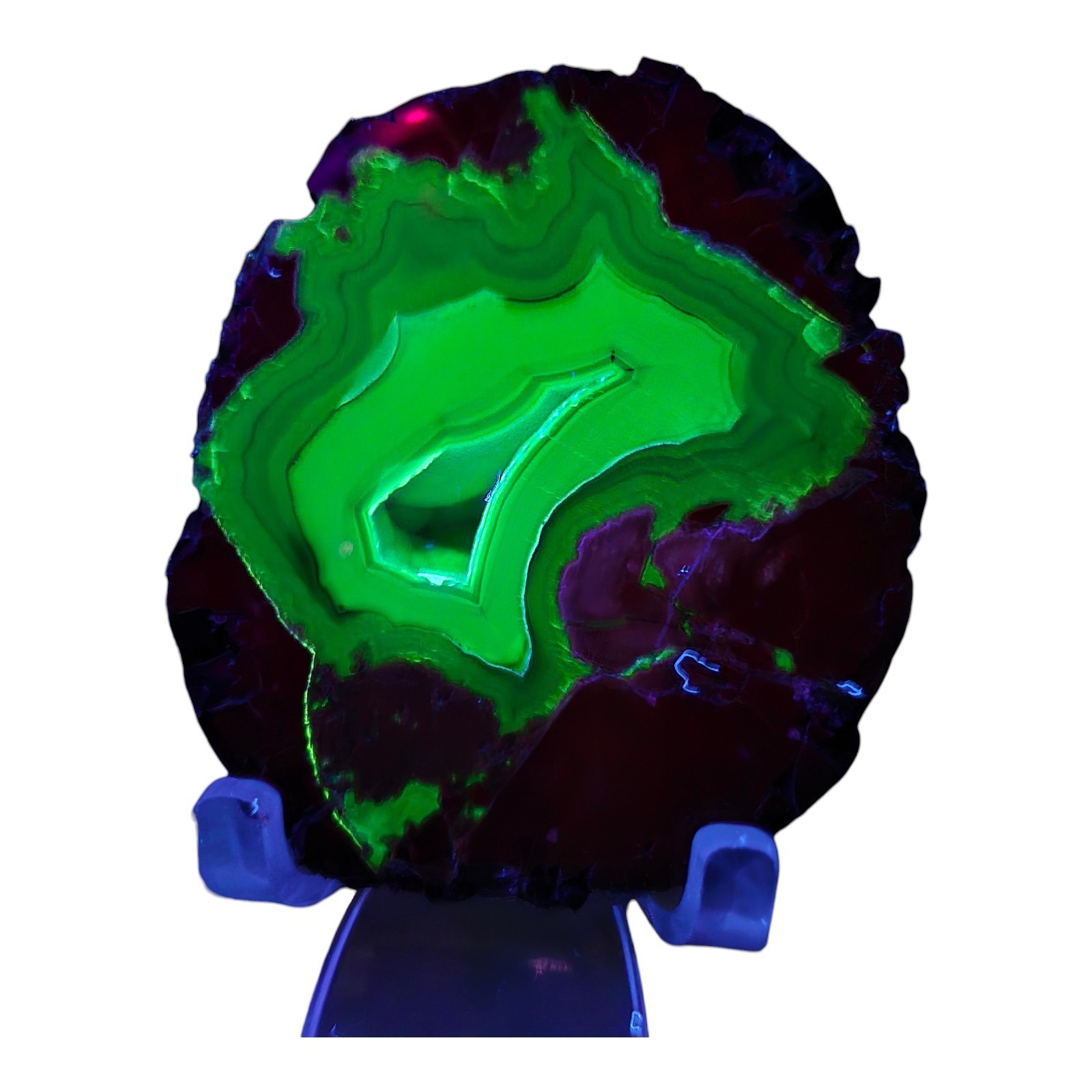 Priday Thunderegg Polished UV Reactive Richardson\'s Ranch Madras OR Priday Agate