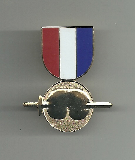 PAIN IN THE ASS MILITARY MEDAL  RIBBON LAPEL HAT PIN
