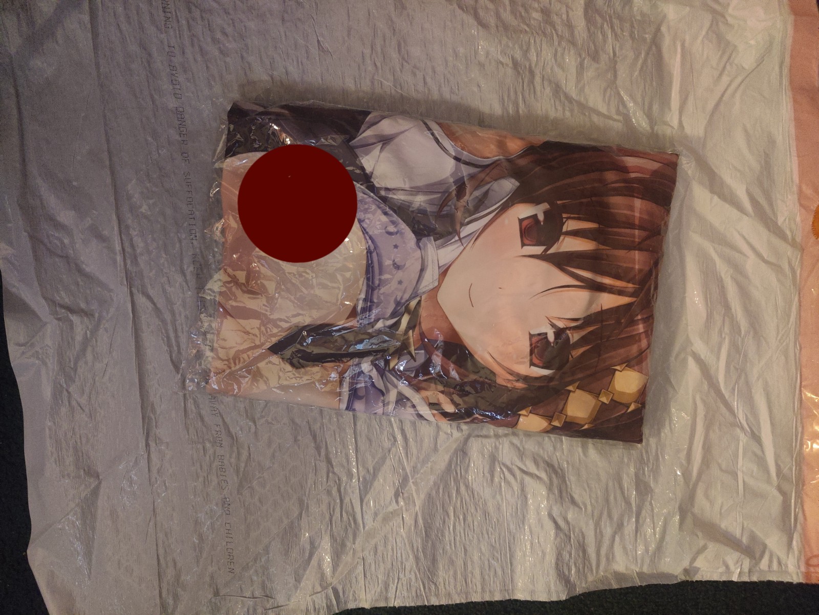 Yuki Minakami Body Pillow case (NSFW and Sealed)