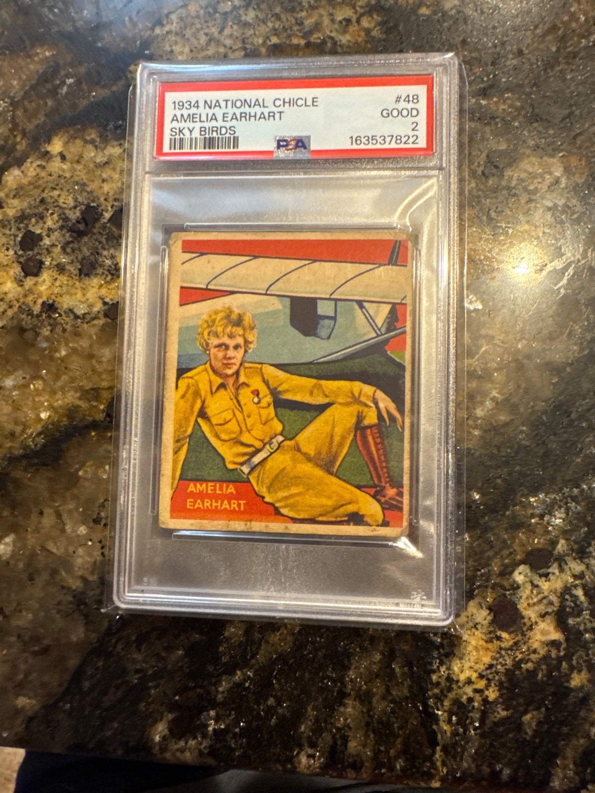 1933 National Chicle Sky Birds R136 Series of 144 Amelia Earhart #48 PSA 2 fm5