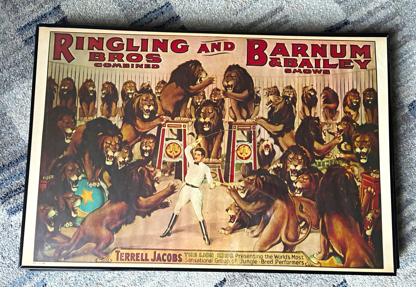 Ringling Bros. Barnum & Bailey Circus Terrell Jacobs Lion King Poster 1928