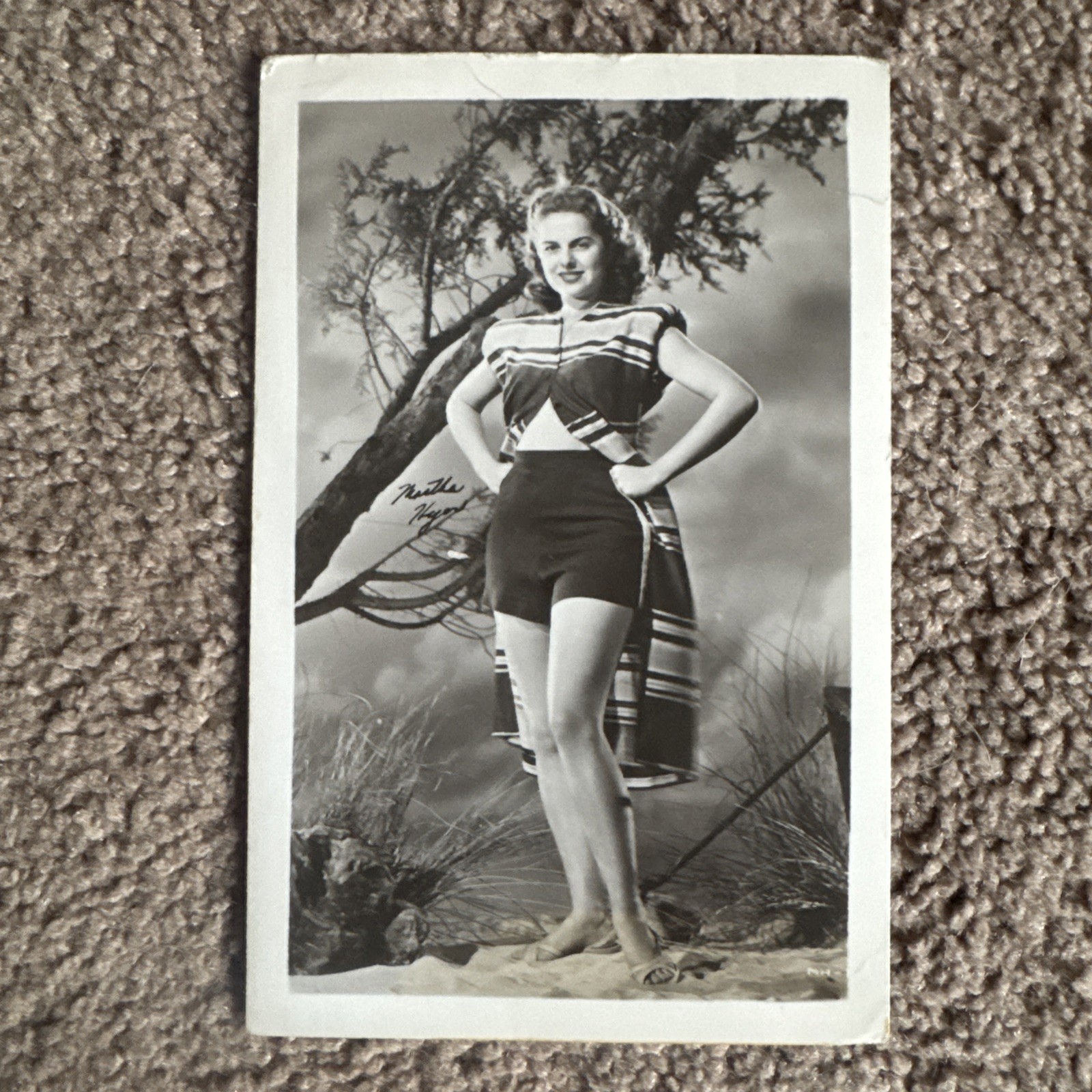 Vintage Martha Hyer Actress Pin-Up Photo Blank Back 1950s