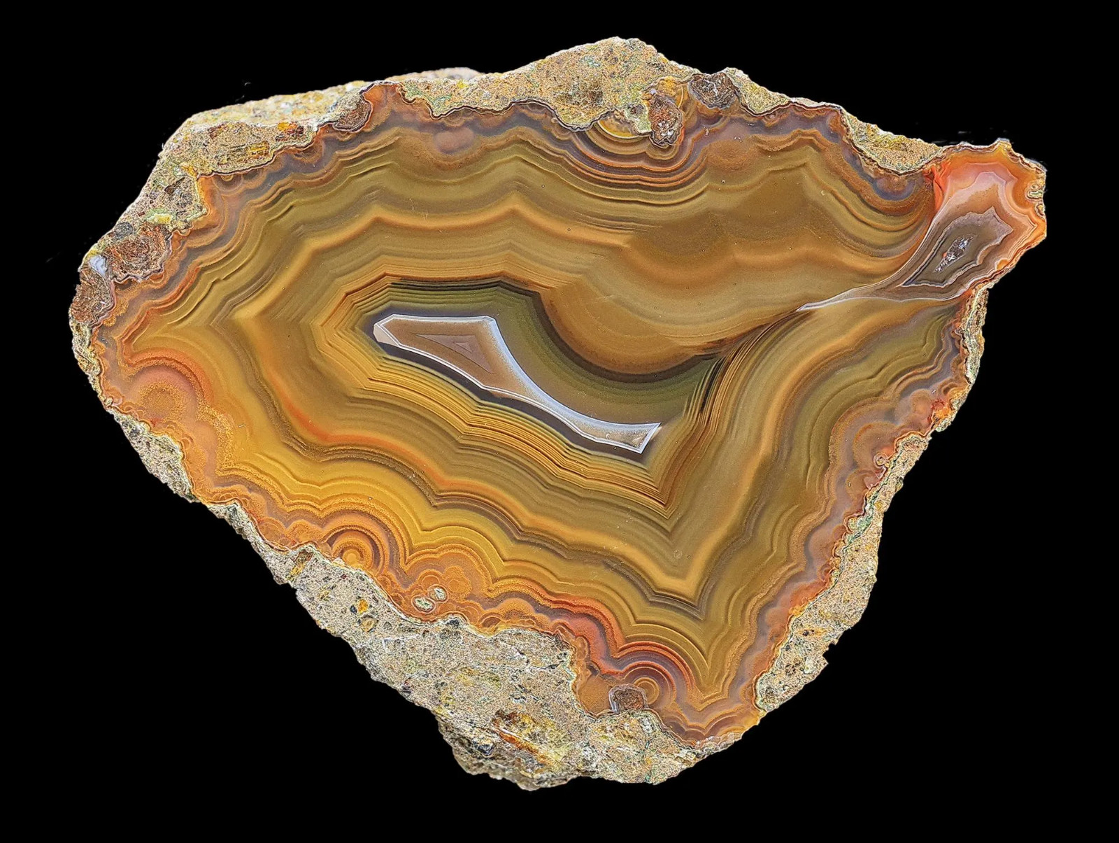 Multi Color Condor Agate Nodule from Argentina Rare Tight Banding