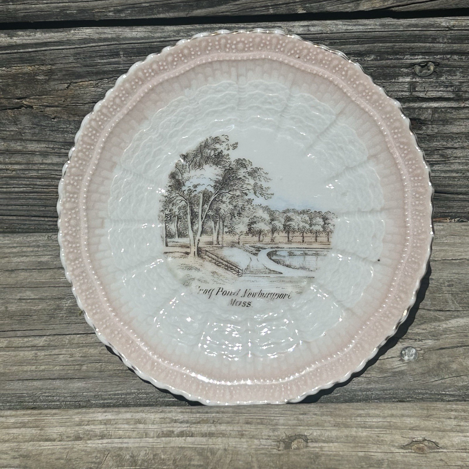 Early Antique Frog pond Newburyport Porcelain Plate Made In Germany