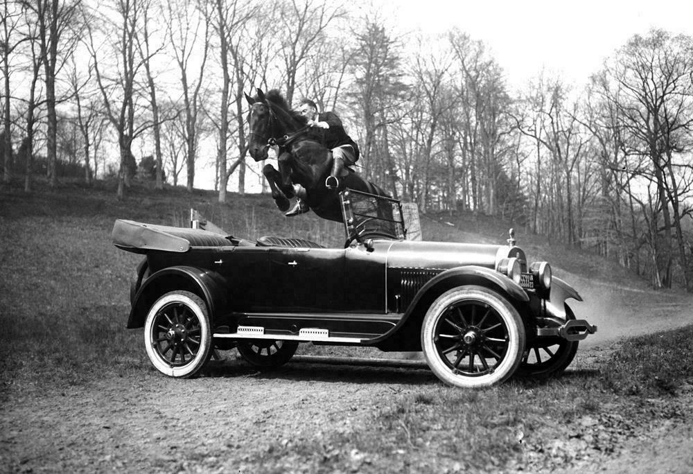 1923 Race Horse Tipperary Jumping a Car Vintage Old Photo Picture Print 8x10
