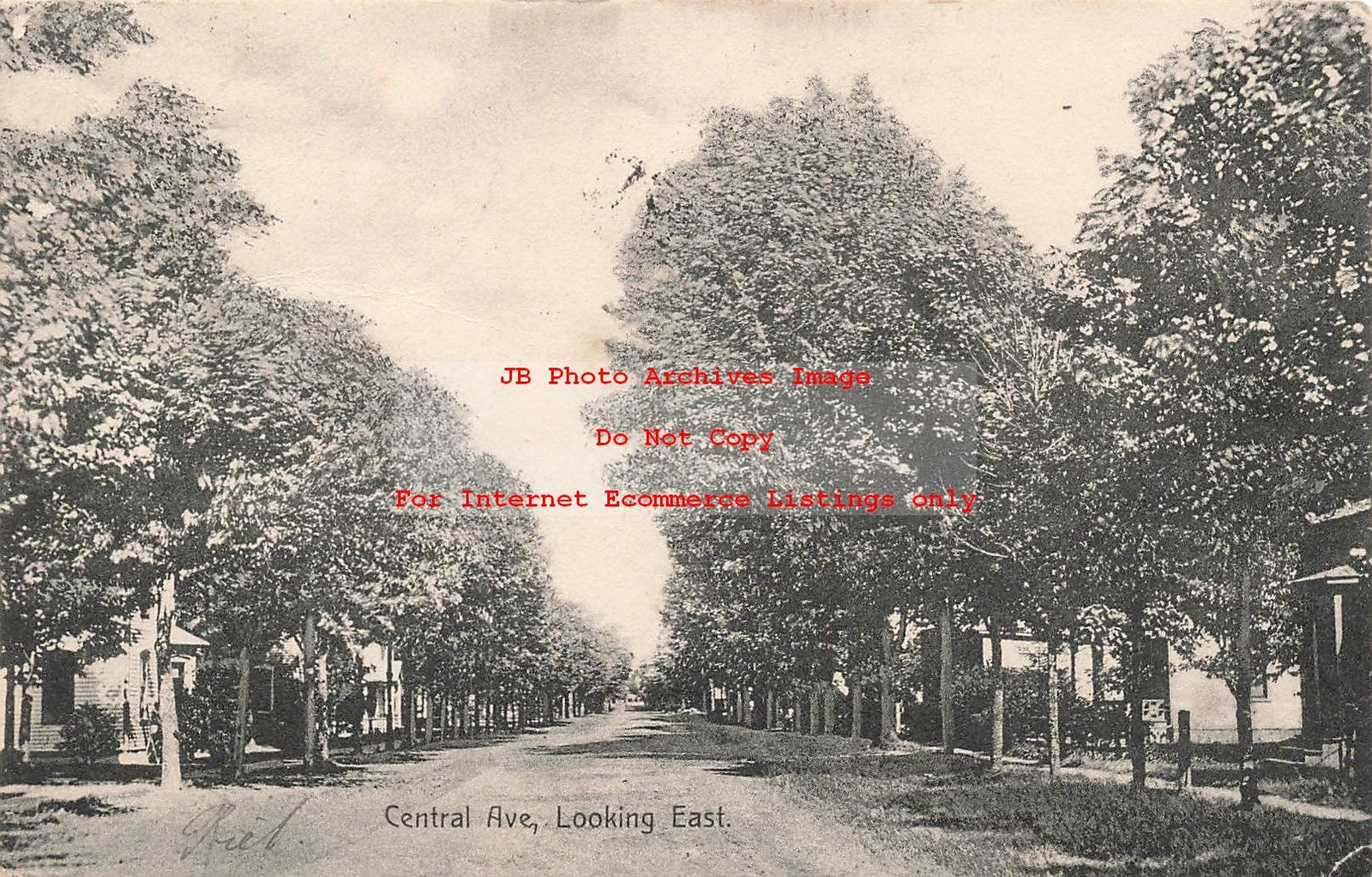 MI, Zeeland, Michigan, Central Avenue, Looking East, 1910 PM