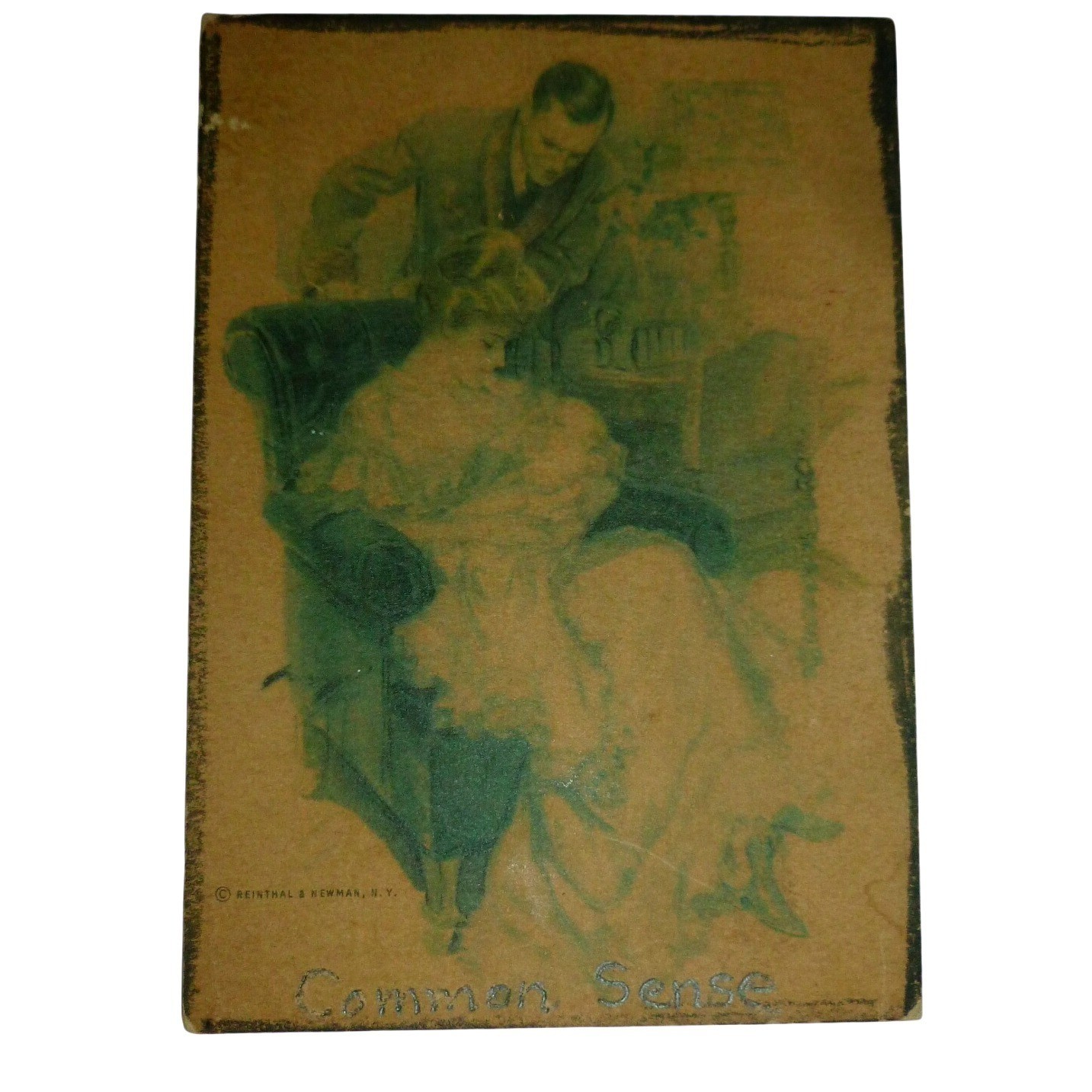 Harrison Fisher Common Sense Postcard Reinthal Newman Six Senses Antique 1900s