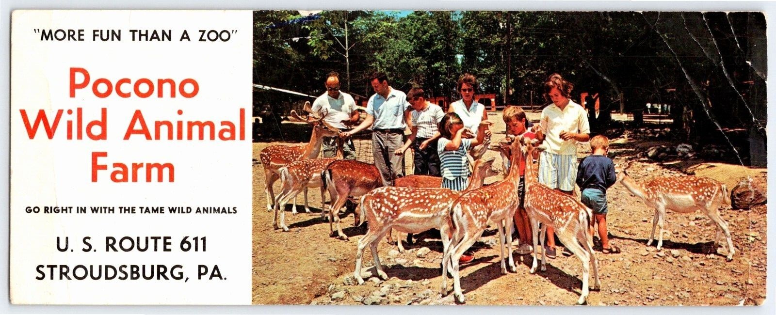 Pocono Wild Animal Farm Stroudsburg Pennsylvania Vintage 3.5\