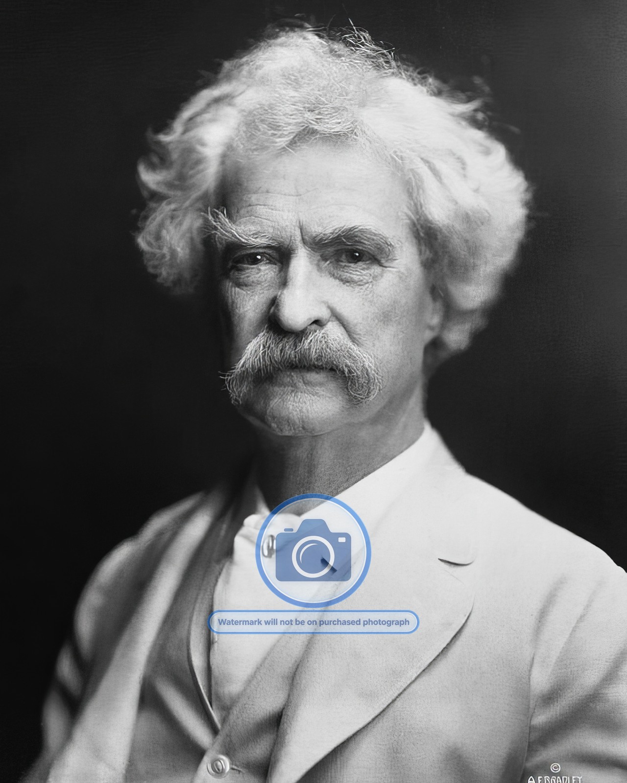MARK TWAIN WRITER AND HUMORIST 8X10 B&W PHOTO