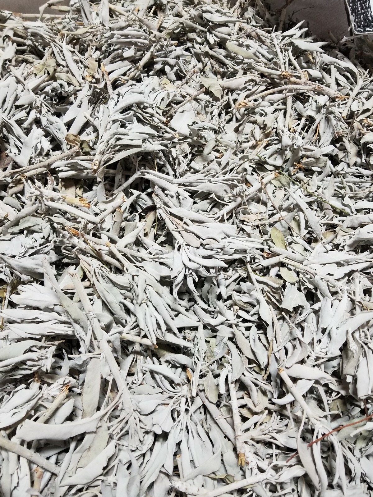 California White SAGE Smudge Loose Cluster Incense Bulk (1 pound) NEW 