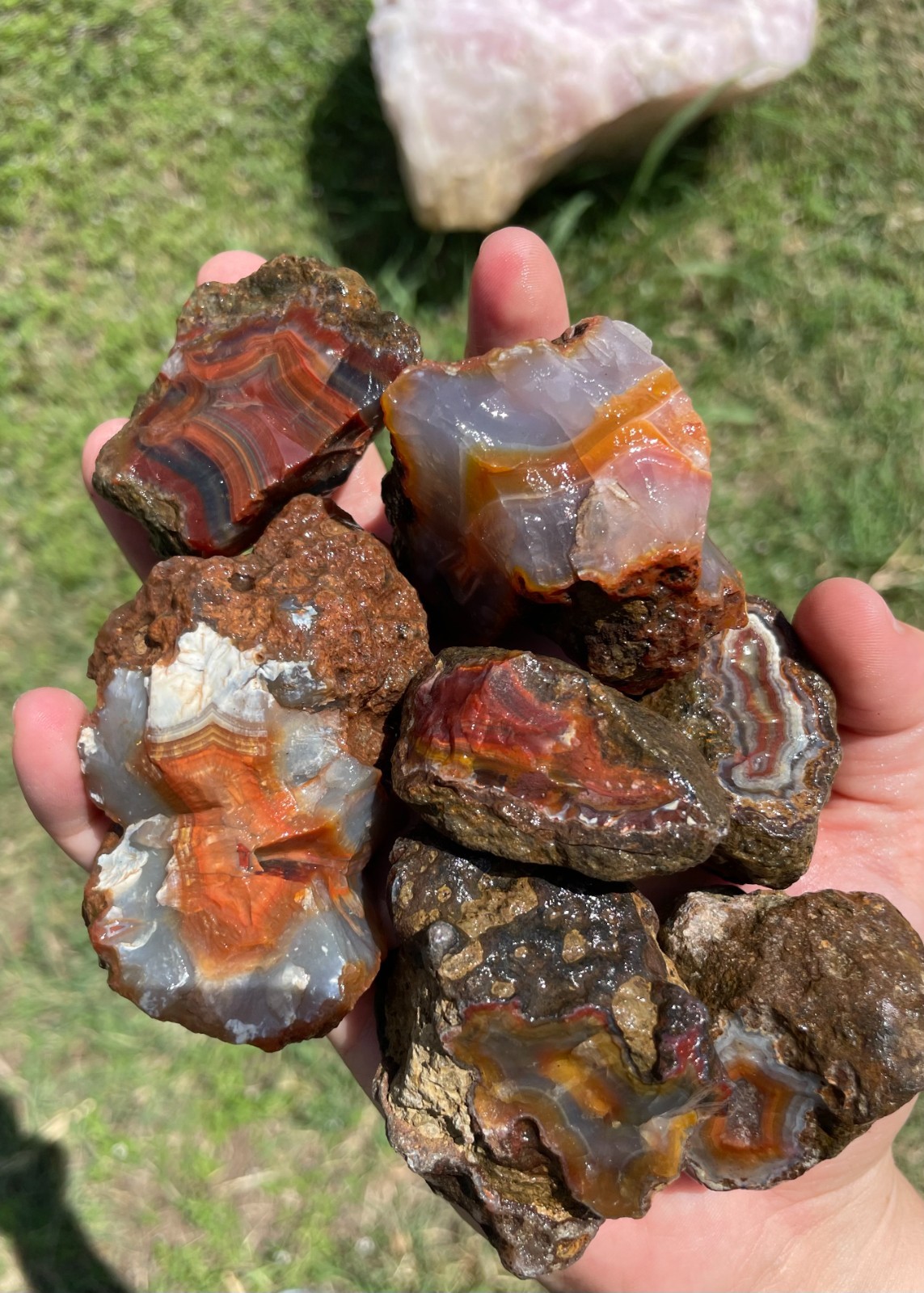 Condor Agate Rough