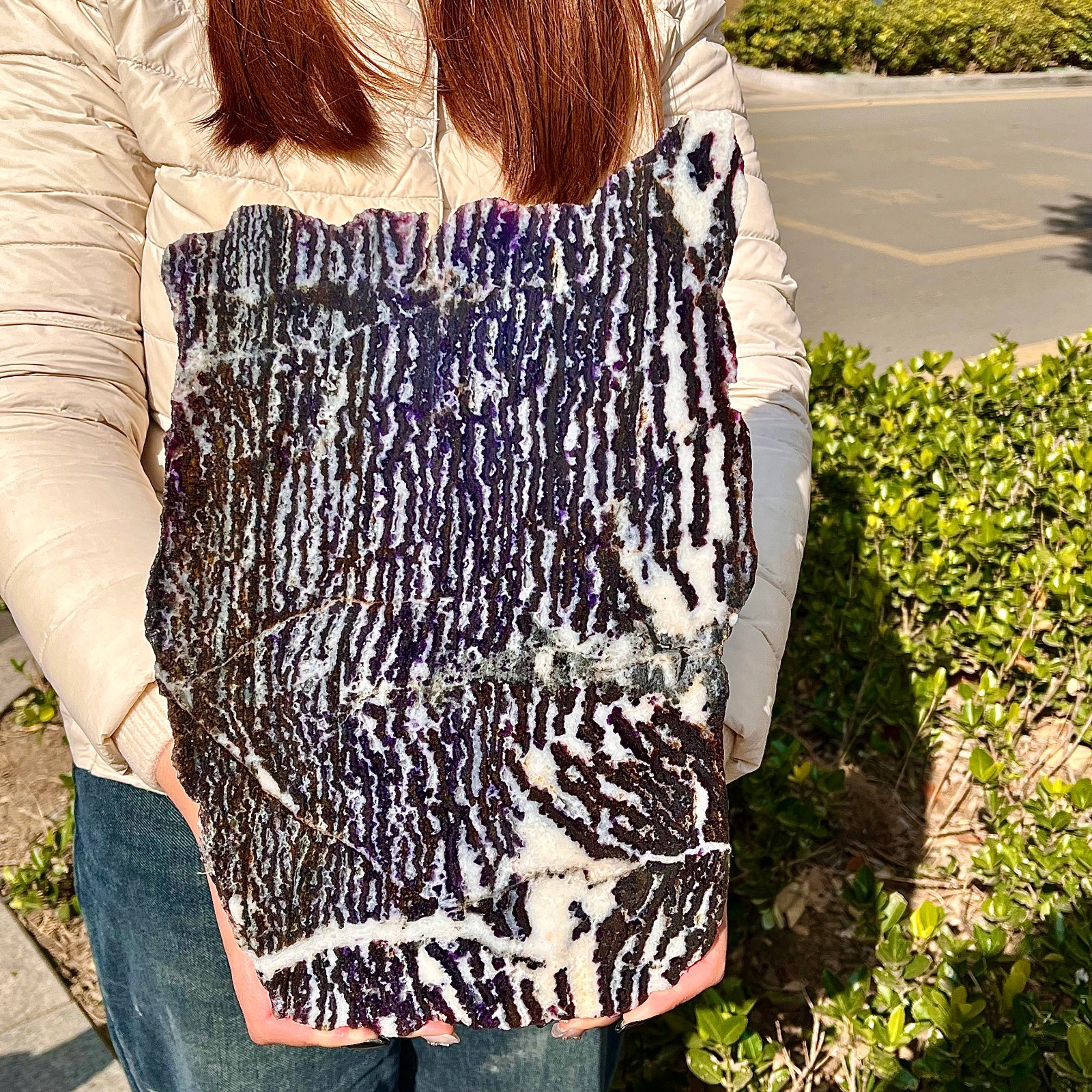 4.25LB  Beautiful Zebra Rock - Unique Purple and White Striped Gemstone
